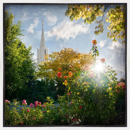 Jordan River Brightness and Glory Gallery Wrap