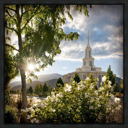 Payson Brightness and Glory Gallery Wrap