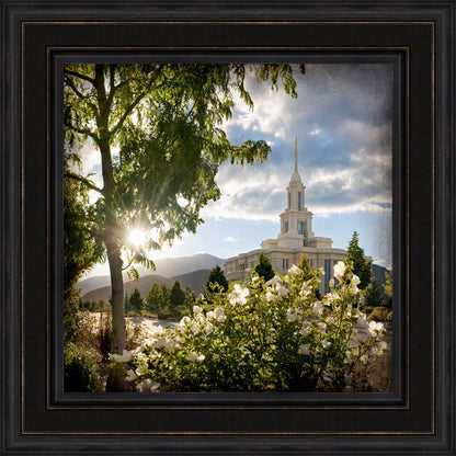 Payson Brightness and Glory