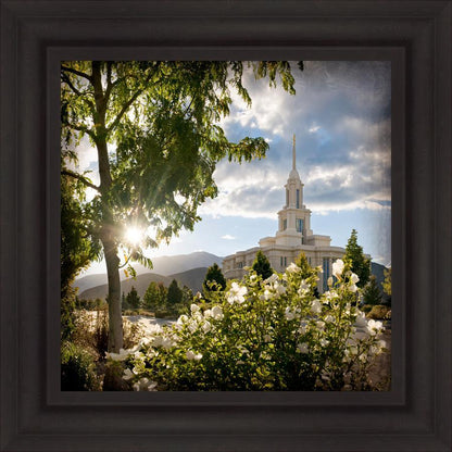 Payson Brightness and Glory