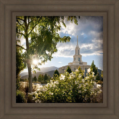 Payson Brightness and Glory