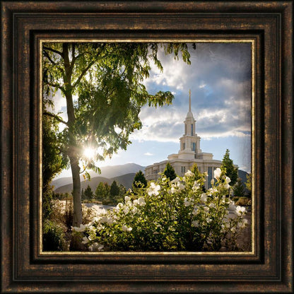 Payson Brightness and Glory