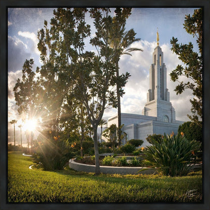 Redlands Brightness and Glory Gallery Wrap