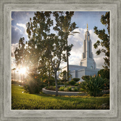 Redlands Brightness and Glory