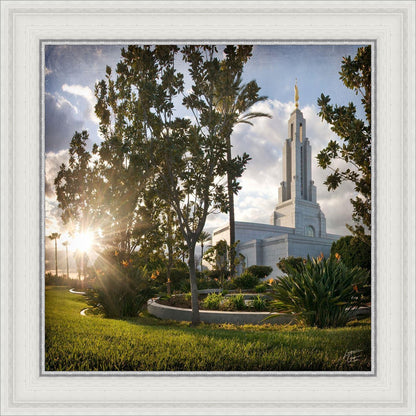 Redlands Brightness and Glory