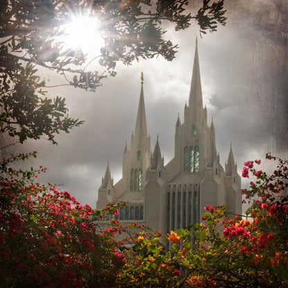 San Diego Brightness and Glory Gallery Wrap