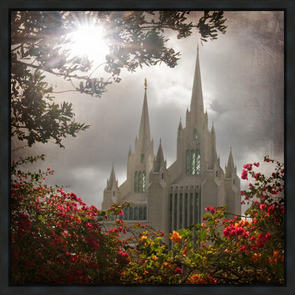 San Diego Brightness and Glory Gallery Wrap