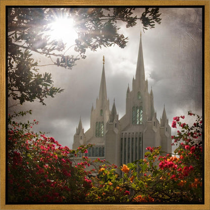 San Diego Brightness and Glory Gallery Wrap