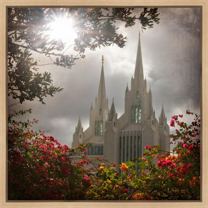 San Diego Brightness and Glory Gallery Wrap