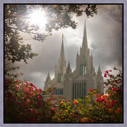 San Diego Brightness and Glory Gallery Wrap