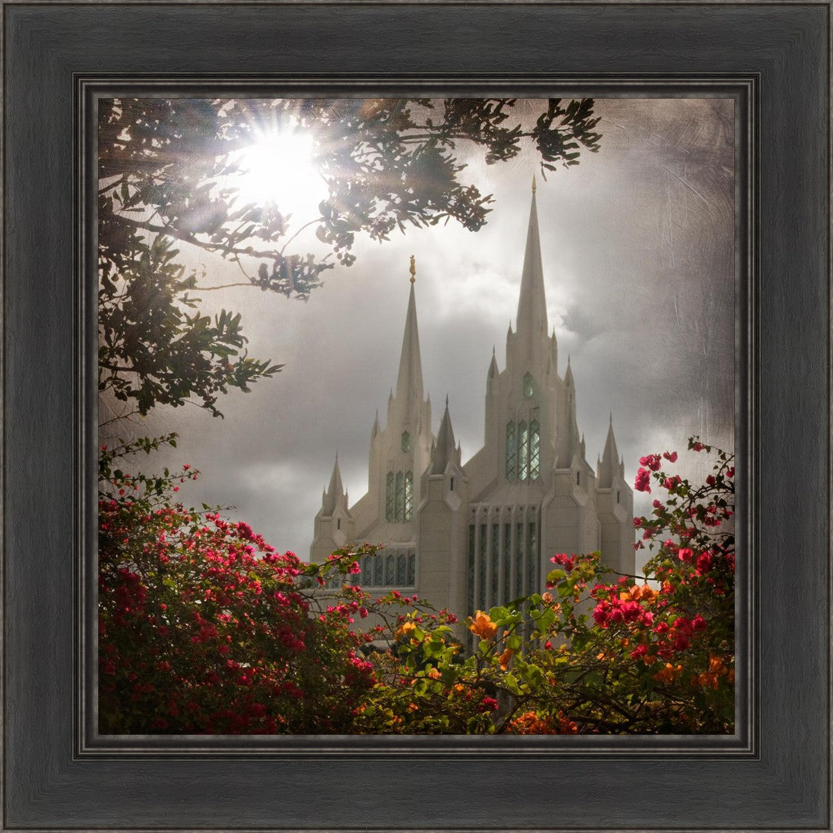 San Diego Brightness and Glory