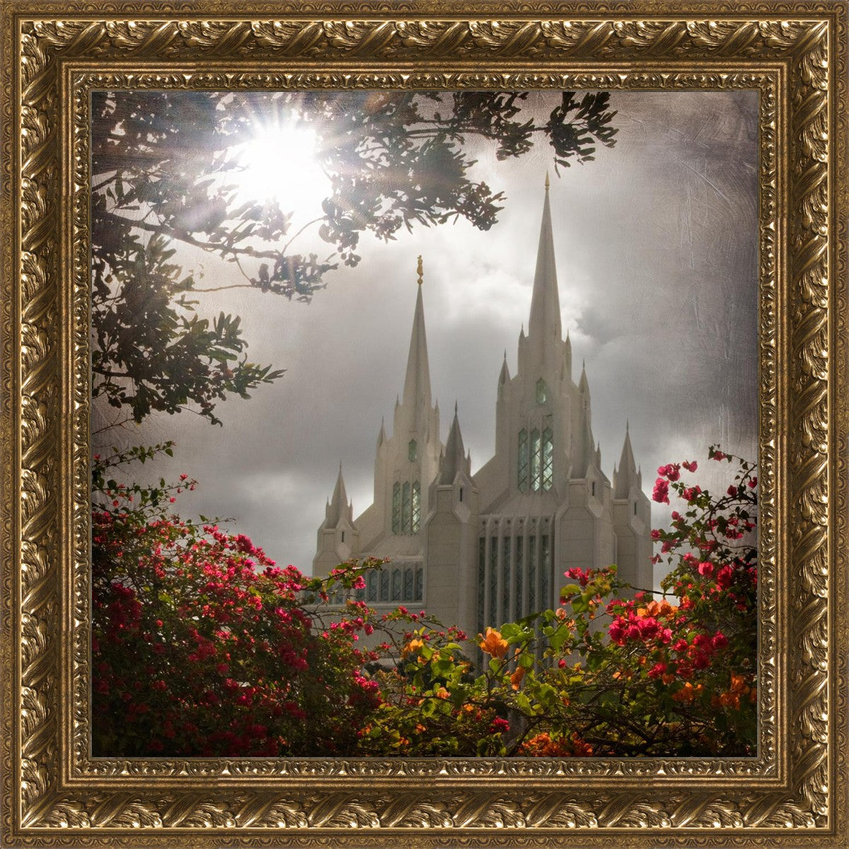 San Diego Brightness and Glory