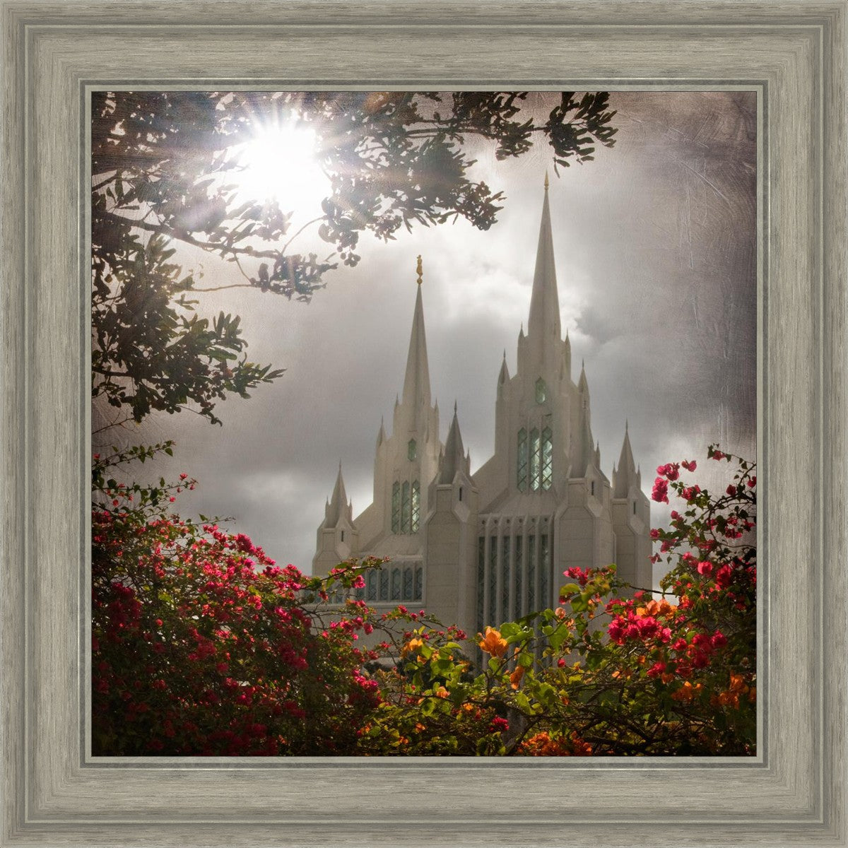 San Diego Brightness and Glory