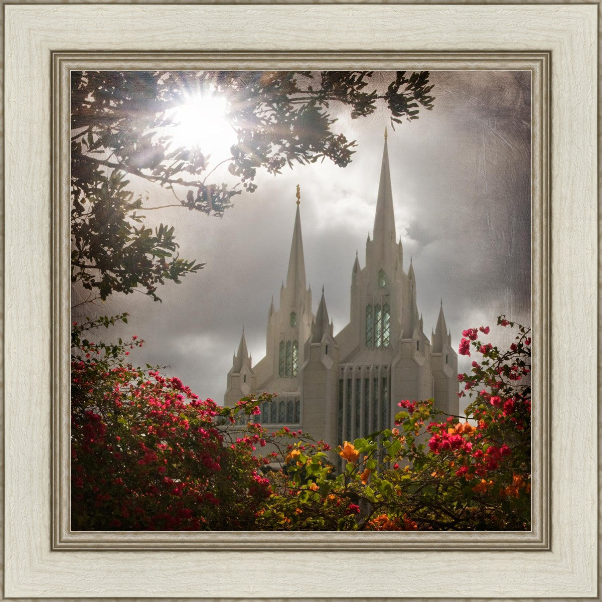 San Diego Brightness and Glory