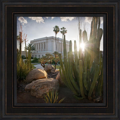 Mesa Brightness and Glory