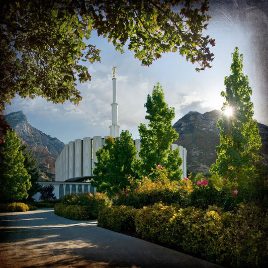 Provo Brightness and Glory Gallery Wrap