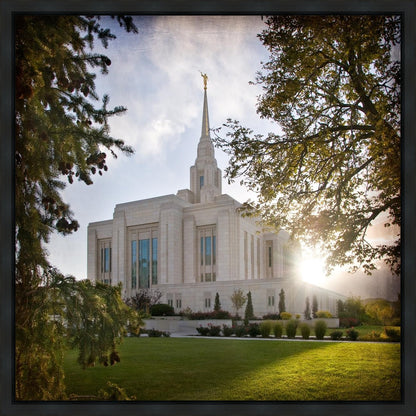 Ogden Brightness and Glory Gallery Wrap