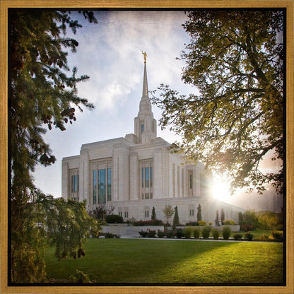 Ogden Brightness and Glory Gallery Wrap