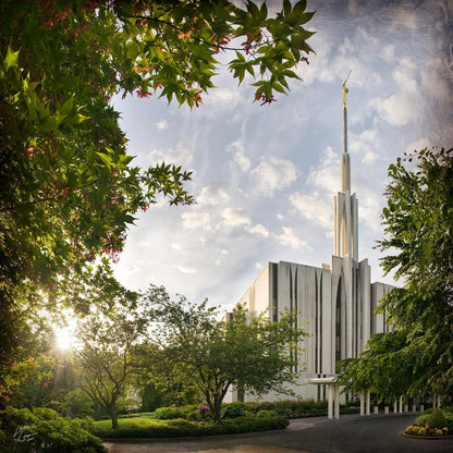 Seattle Brightness and Glory Gallery Wrap