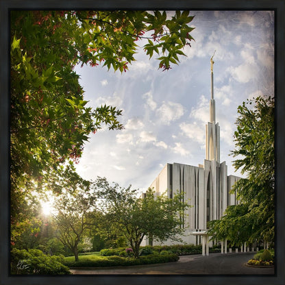 Seattle Brightness and Glory Gallery Wrap