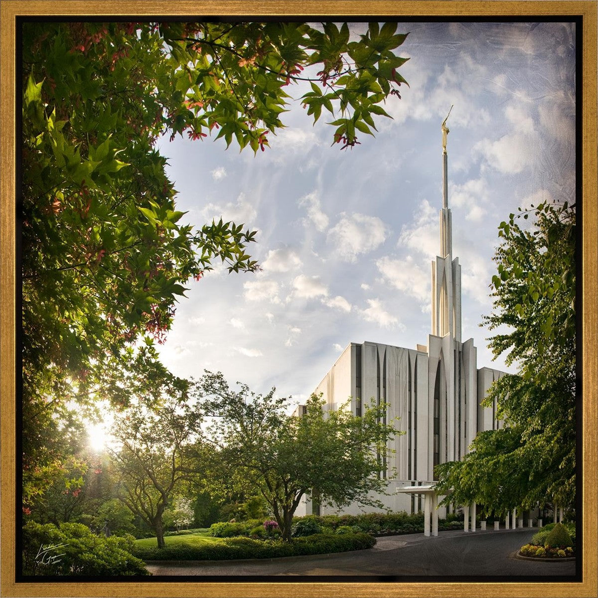 Seattle Brightness and Glory