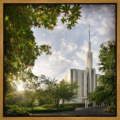 Seattle Brightness and Glory