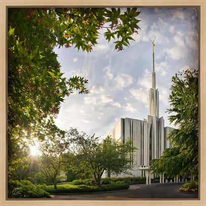 Seattle Brightness and Glory