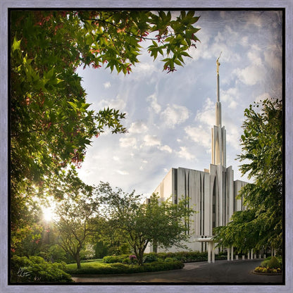 Seattle Brightness and Glory Gallery Wrap