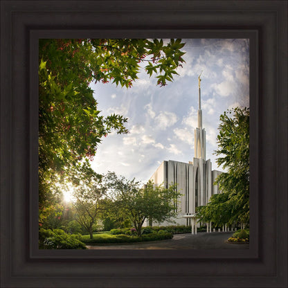 Seattle Brightness and Glory