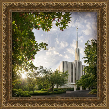 Seattle Brightness and Glory