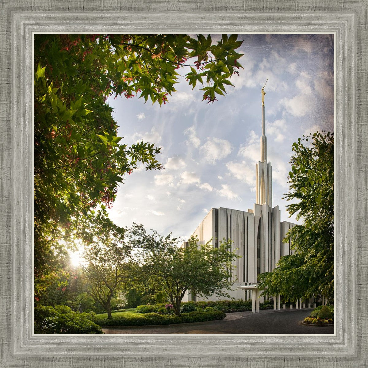 Seattle Brightness and Glory