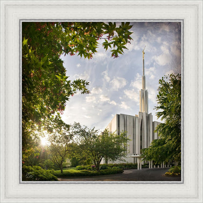 Seattle Brightness and Glory