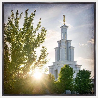 Columbia River Brightness and Glory