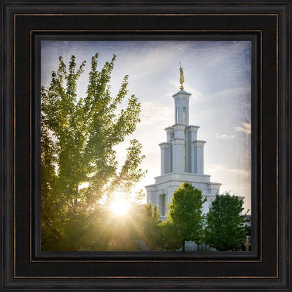 Columbia River Brightness and Glory