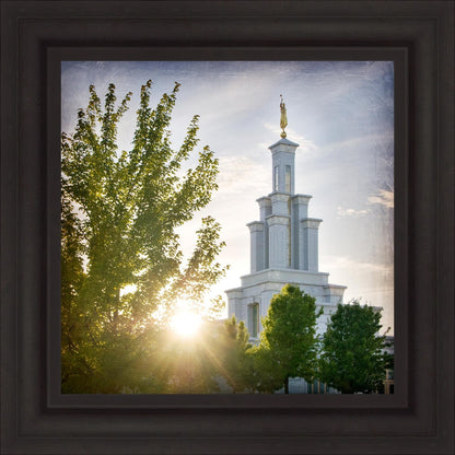 Columbia River Brightness and Glory