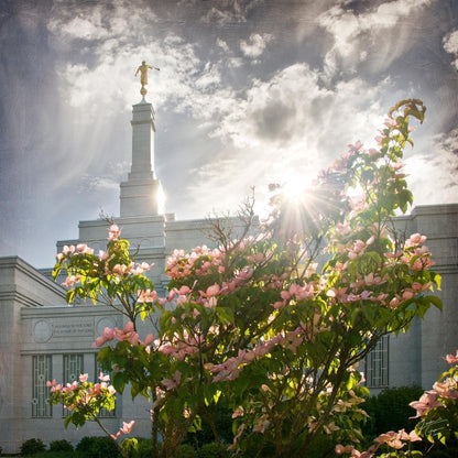 Spokane Brightness and Glory Gallery Wrap