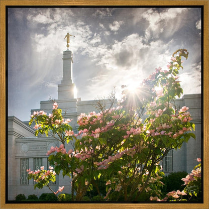 Spokane Brightness and Glory