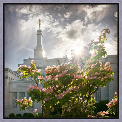 Spokane Brightness and Glory Gallery Wrap