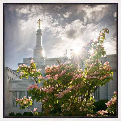 Spokane Brightness and Glory Gallery Wrap