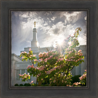 Spokane Brightness and Glory