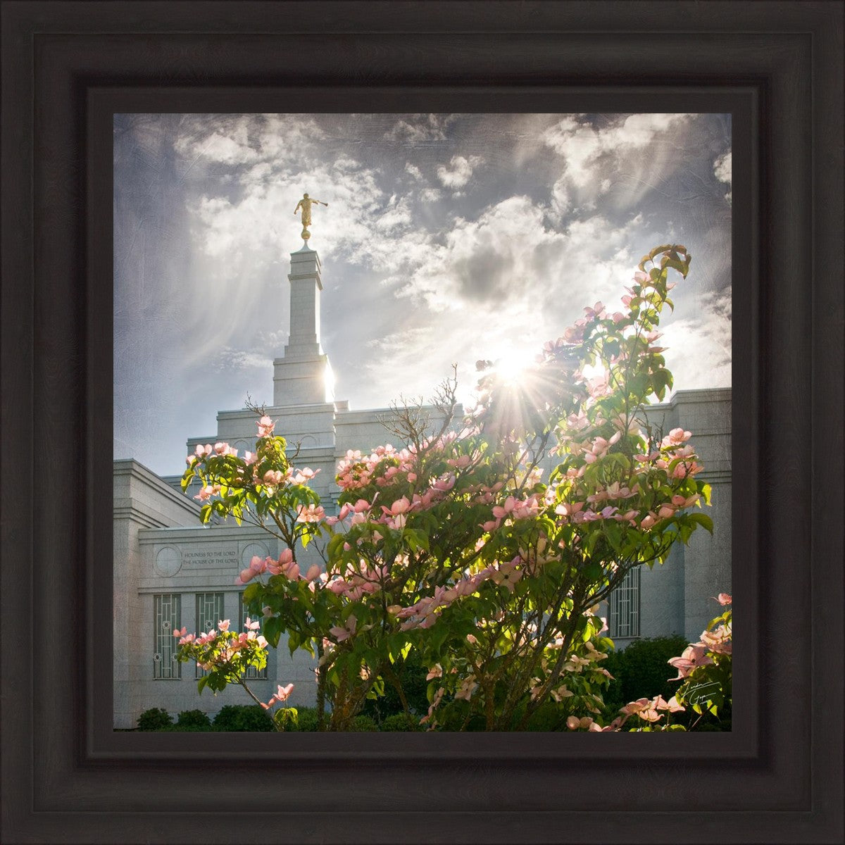 Spokane Brightness and Glory