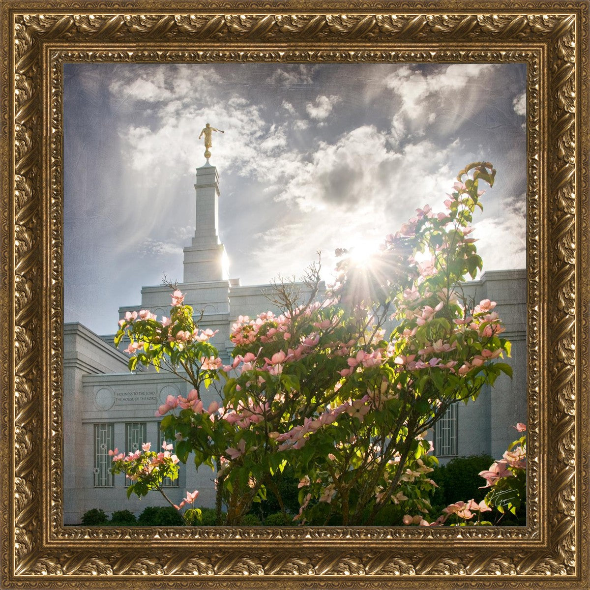 Spokane Brightness and Glory