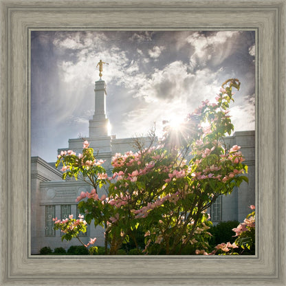 Spokane Brightness and Glory