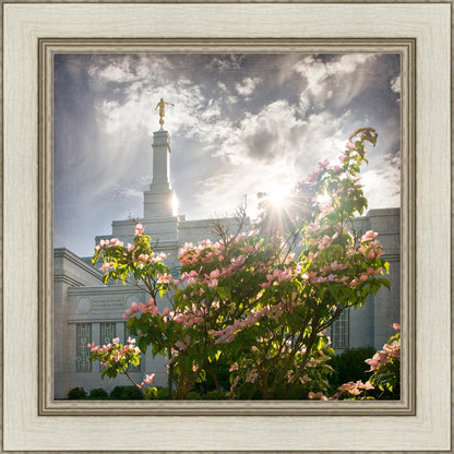 Spokane Brightness and Glory