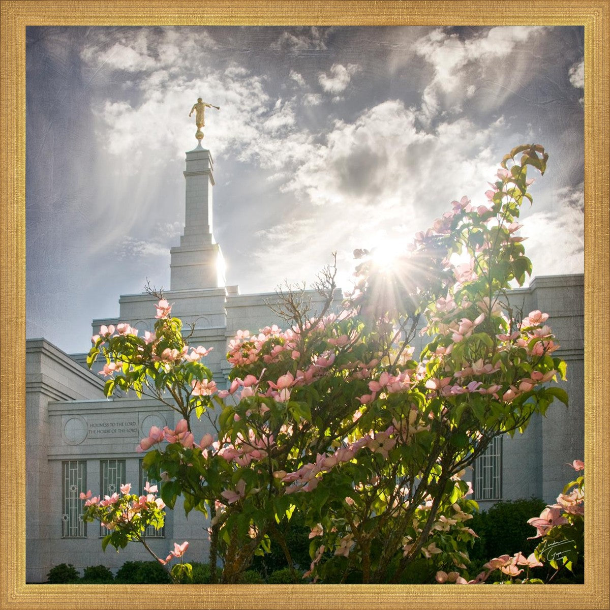 Spokane Brightness and Glory