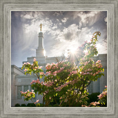 Spokane Brightness and Glory