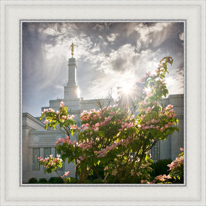 Spokane Brightness and Glory