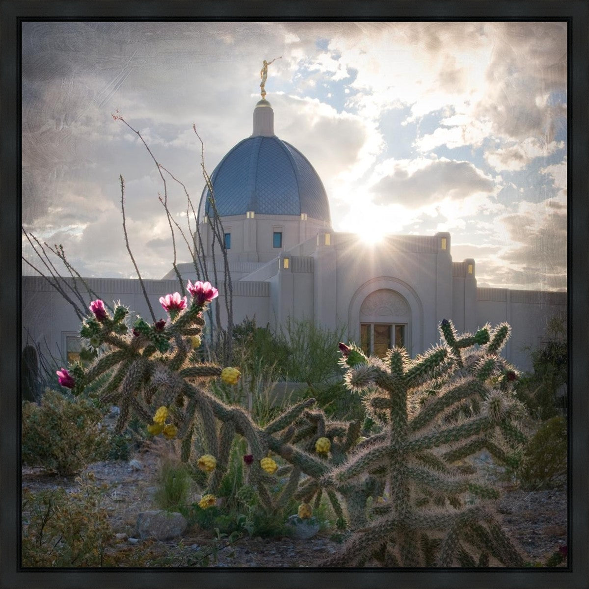 Tucson Brightness and Glory