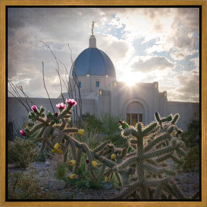 Tucson Brightness and Glory