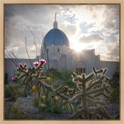 Tucson Brightness and Glory Gallery Wrap